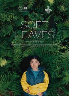 温柔的叶子 Soft Leaves (2025)